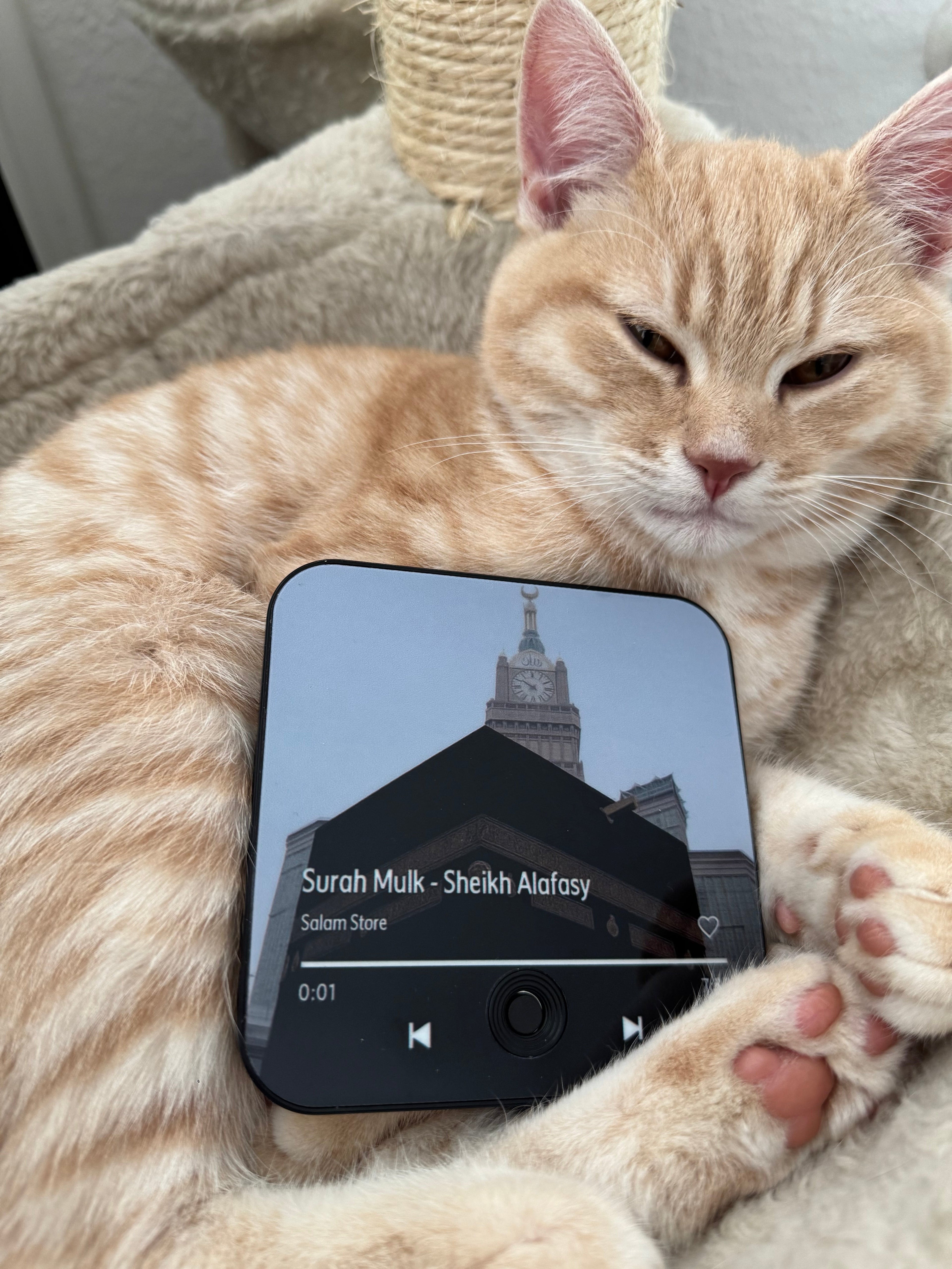 Magnetischer Quran-Audio-Player - Surah al Mulk