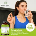Bio Gerstengras Kapseln
