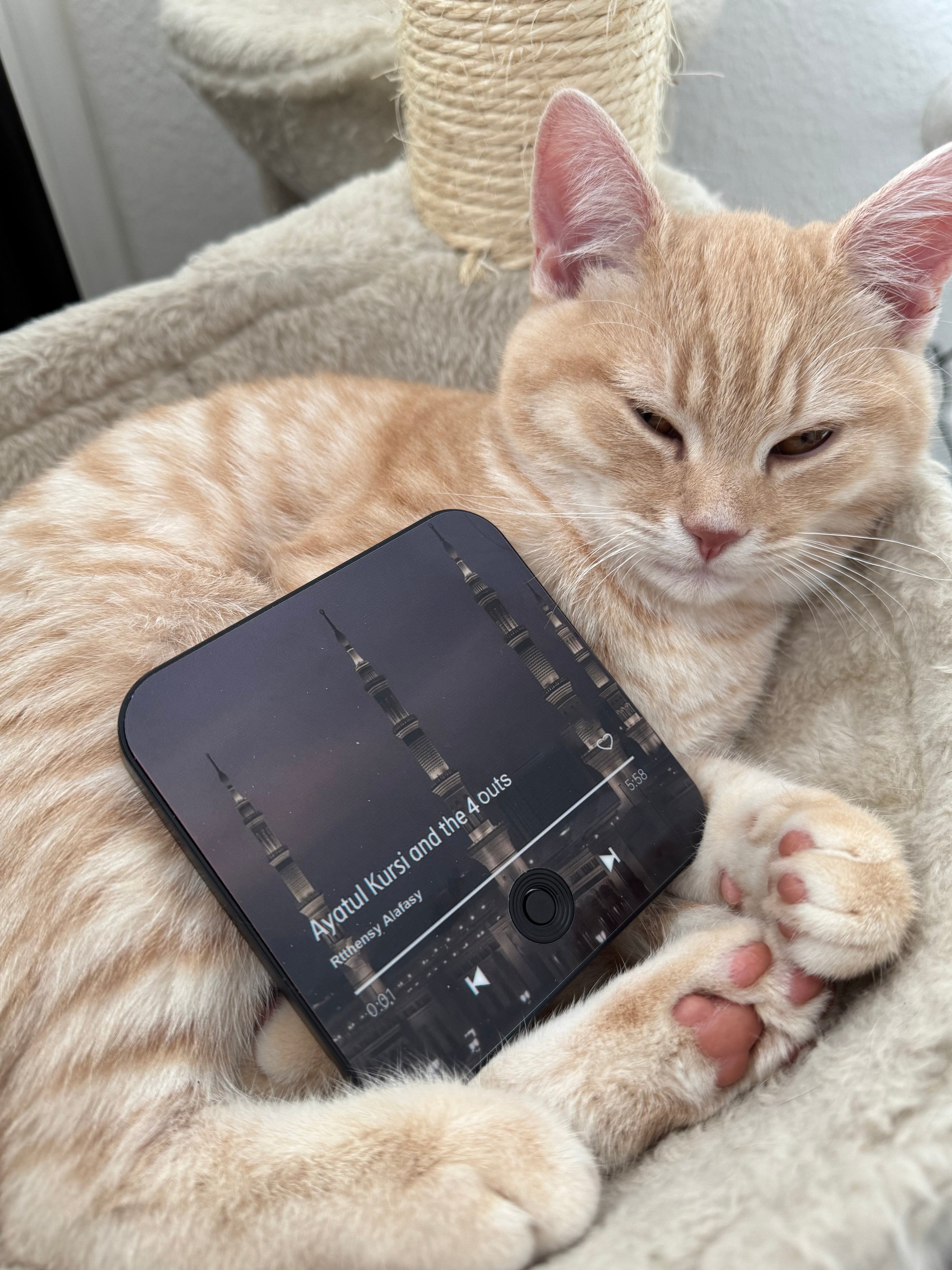 Magnetischer Quran-Audio-Player - Ayatal Kursi