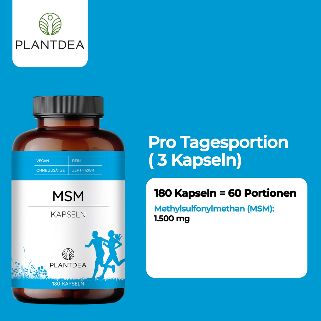 MSM Kapseln