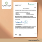 Bio Ingwer Kapseln