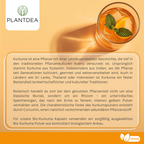 Bio Kurkuma Kapseln