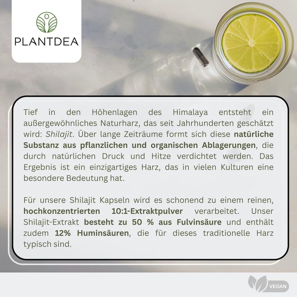 Shilajit Extrakt Kapseln