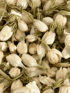 Sacred Flame Duftkerze Jasmine Refill