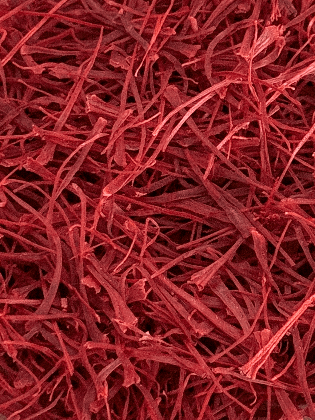 Sacred Flame Duftkerze Zeder und Safran Refill